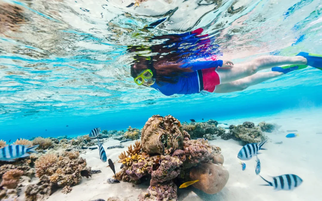 Cozumel El Cielo Sandbar and Reef Snorkeling Private Adventure