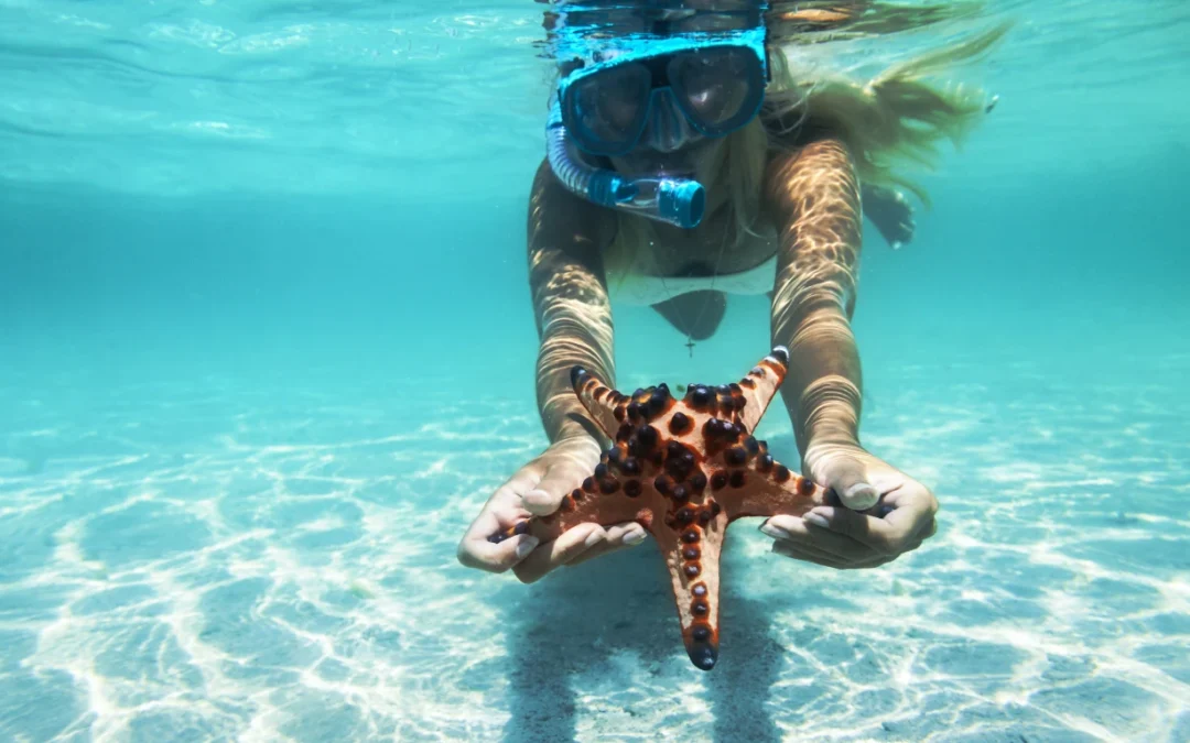 Discover Cozumel’s Reef: Glass-bottom Boat Snorkeling Adventure